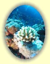 IMG_2007_05_27 18_08_00 * 1678 x 2242 * (538KB)